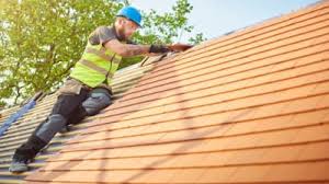 Best Roof Maintenance and Cleaning  in Monte Alto, TX