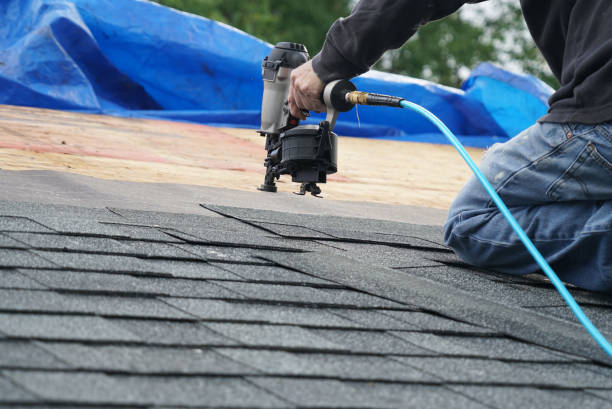 Roof Insulation in Monte Alto, TX